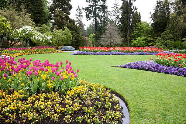 Landscaping website template